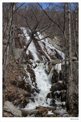Chute-24w.jpg