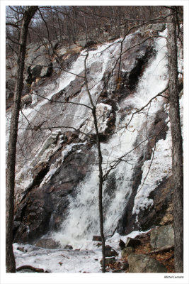 Chute-26w.jpg