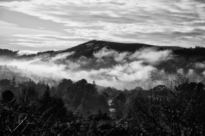 Morning Fog in the Valley.