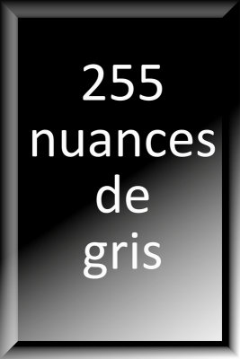 255 Nuances de gris 2013-2014