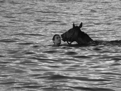 Le cheval qui murmurait  l'oreille de l'homme