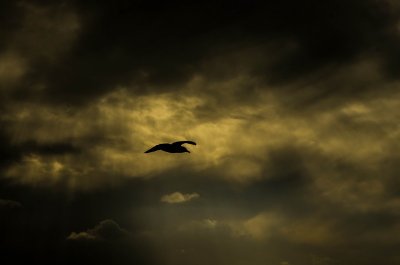 entre ciel et mer 3.jpg
