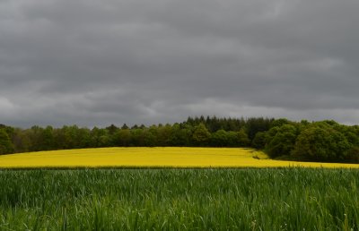 couleurs bretonnes