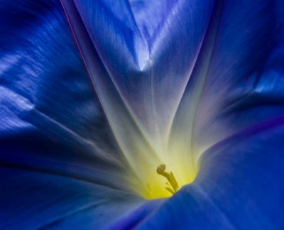 puit de lumiere
