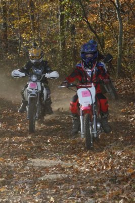 _MG_1185.jpg