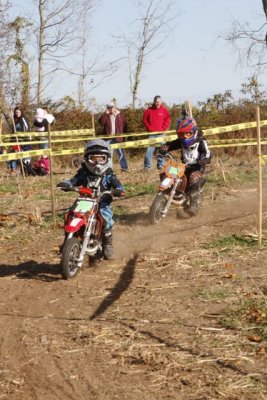 _MG_1241.jpg
