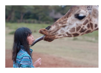 Jessica, giraffe, Kenya