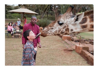 Joseph, giraffe, Kenya
