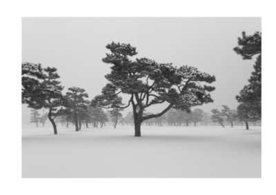 Tokyo Imperial Palace, snowy day