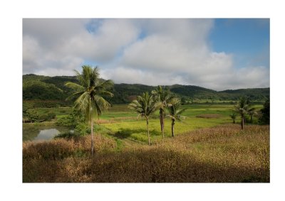 Thai landscape