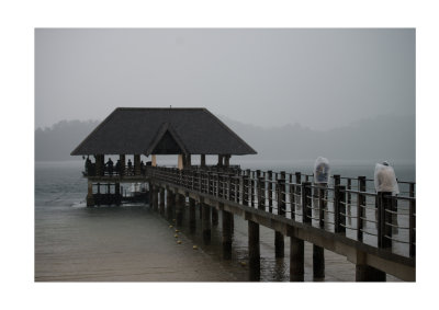 Gaya Island in the rain