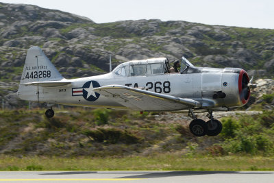 DSC_7065.jpg
