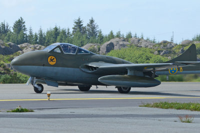 DSC_7285.jpg