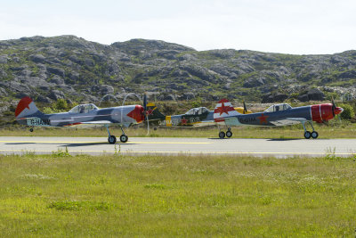 DSC_7826.jpg