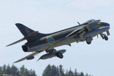 DSC_7857.jpg