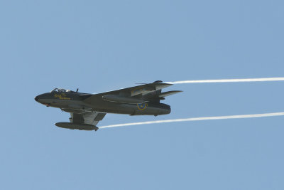DSC_7902.jpg