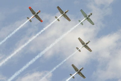 DSC_9037.jpg