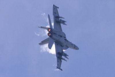 F/A-18F Super Hornet