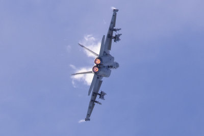 F/A-18F Super Hornet