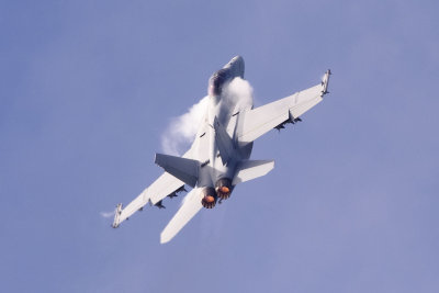F/A-18F Super Hornet
