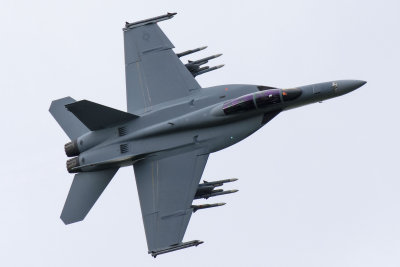 F/A-18F Super Hornet