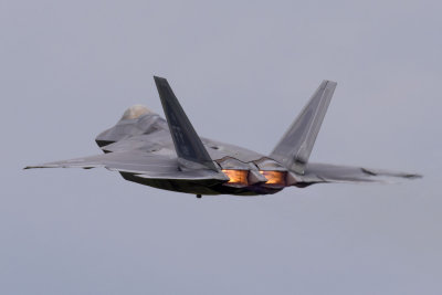 DSC_5417.jpg