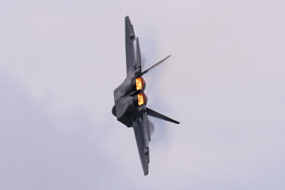 F-22 Raptor