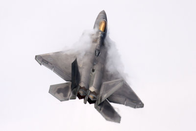 F-22 Raptor