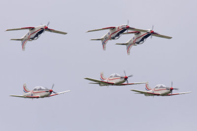 DSC_8255.jpg