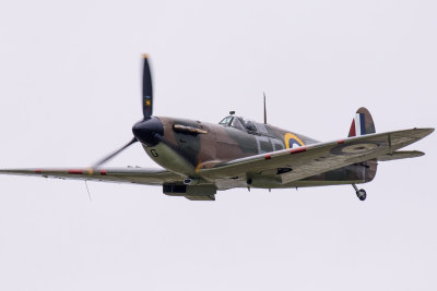 DSC_8307.jpg