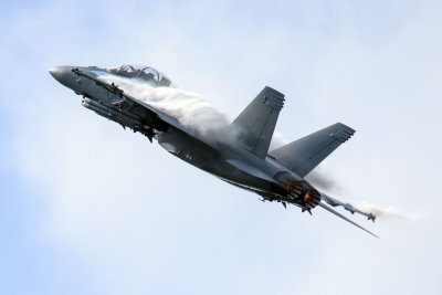F/A-18F Super Hornet