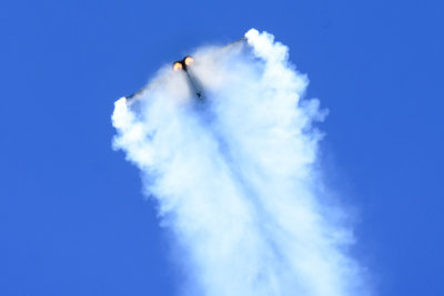 DSC_2324a.jpg