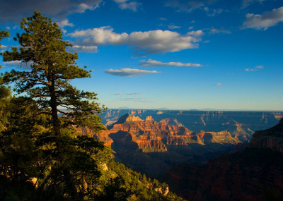 Transept Trail late afternoon