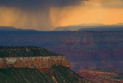 A Deluge Somewhere in the Canyon