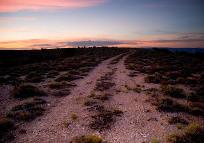 The Road to Jump Up Point at dawn