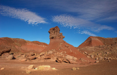 Hoodoo at Petrified Forest N.P.