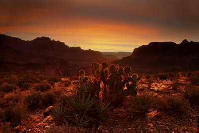 Sunset on Tonto Trail