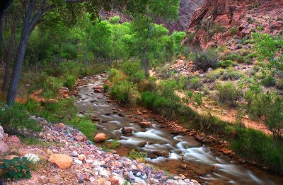 Bright Angel creek @ Phantom Ranch