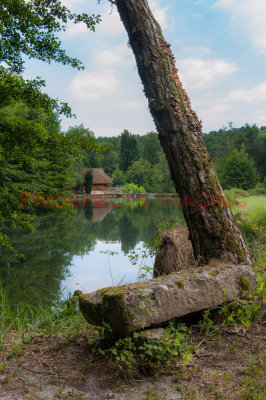 g9/42/929242/3/151741974.NemVo0Tr.jpg
