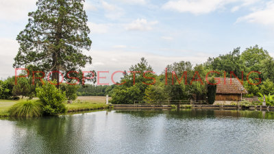 g9/42/929242/3/151741980.XsWt1bb0.jpg