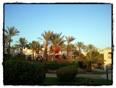 Sharm3