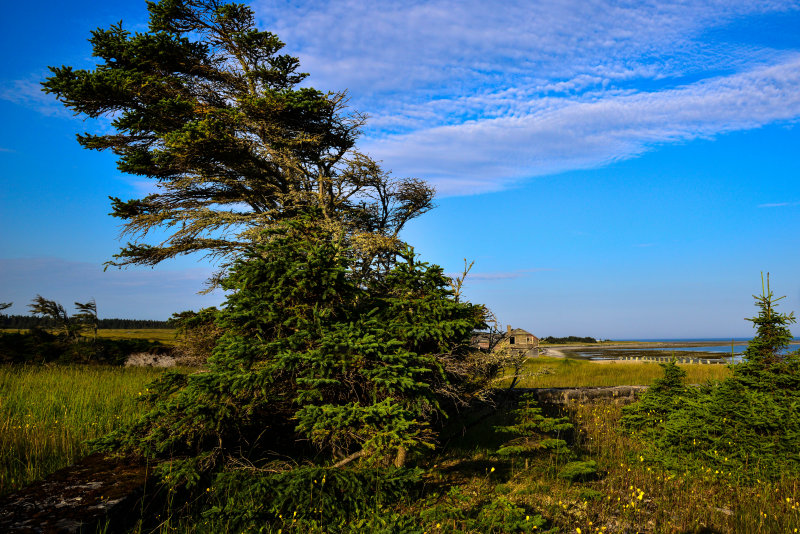Paysage, Pointe Ste-Claire