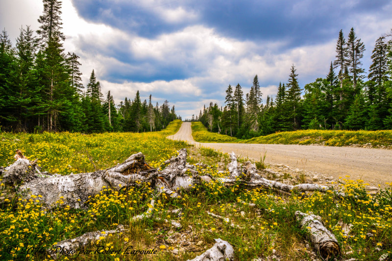 La route