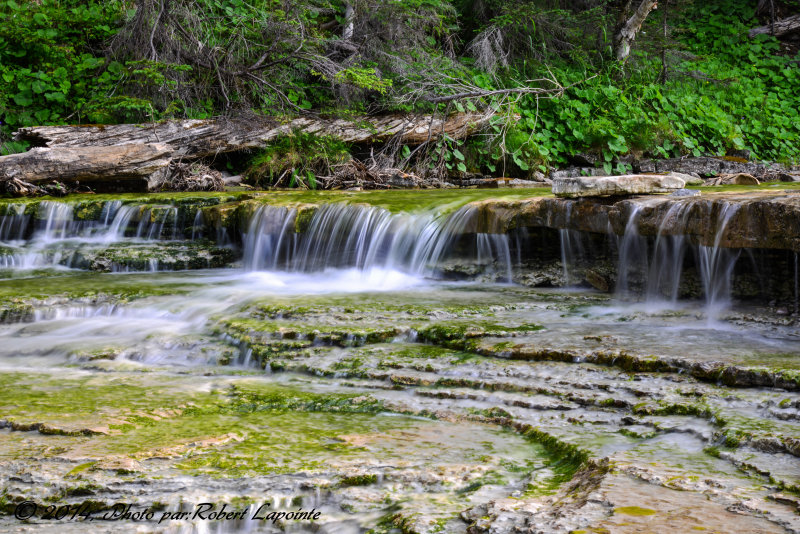 Cascade ruisseau Wilcox