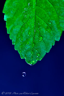 DSC_8573-1.jpg