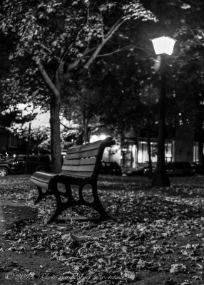 Photo urbaine.jpg