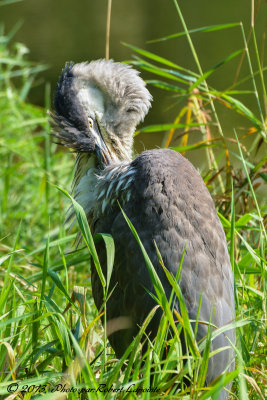DSC_4904.jpg
