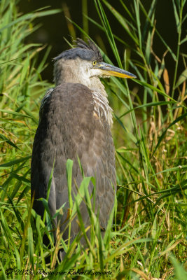 DSC_4933.jpg