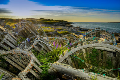 Cages  homards. Pointe Sud-Ouest