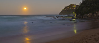 Whale Beach _01.jpg